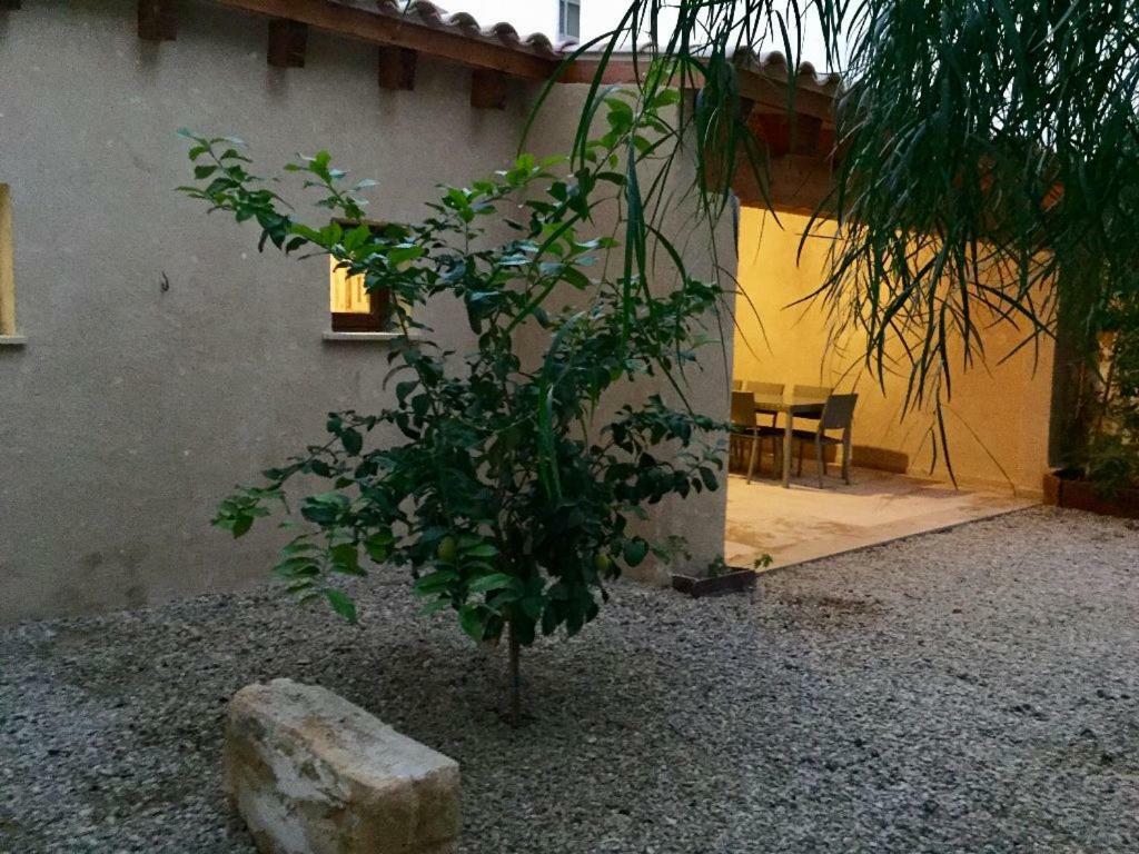 Almahome El Arenal  Kültér fotó